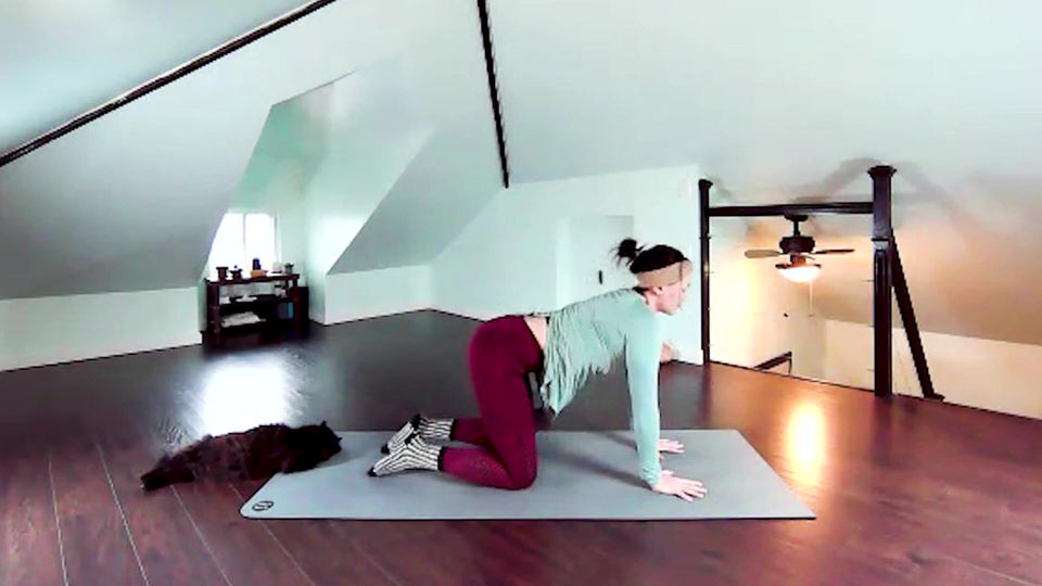 Gentle Yoga | Non-Judgement